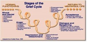 grief cycle